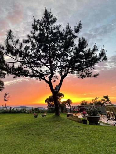 Sakura Village 櫻花坡