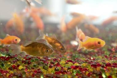 Gamalan FL Spring Hotel