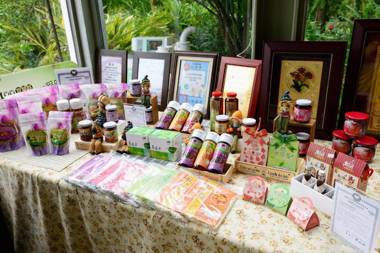 Fairy Story Village Farm B&B