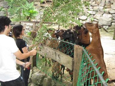 Tou-Cheng Leisure Farm Hotel