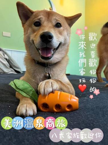 Meizhou Hot Spring Hotel