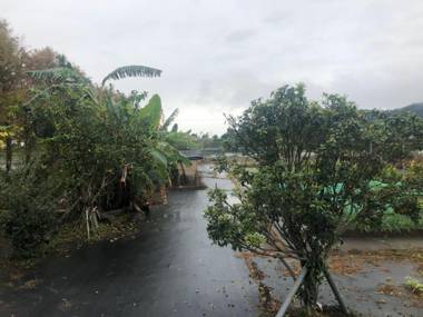 Tien Chon Xiao Lin Homestay