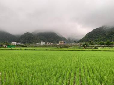 Sun Moon Mountain Farm Homestay