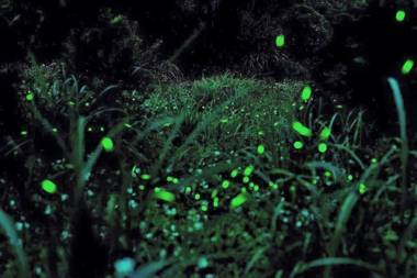 Natural Residence B&B