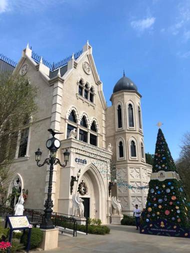 Bear Meets Moose Homestay B&B