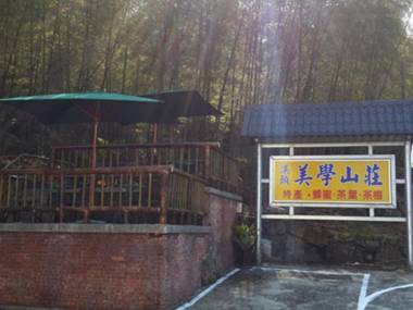 Beauty Art Guest House