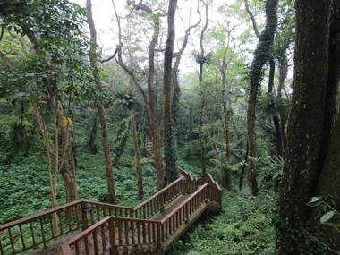 Chan Shuo The Pavilion of Phoenix