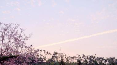 溪頭老爺山莊Xitou Royal Villa