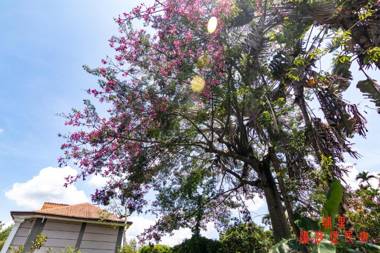 Wen Sha Bao Homestay