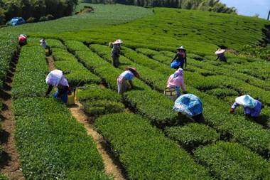 lai Home Country Cottage B&B