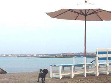 Camome Bed & Breakfast