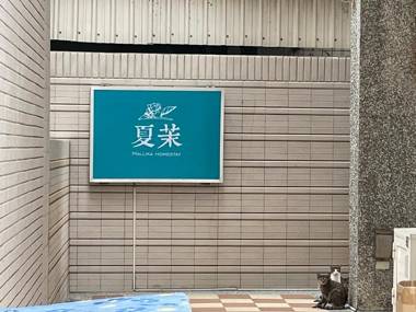 SummerMallika 夏茉民宿