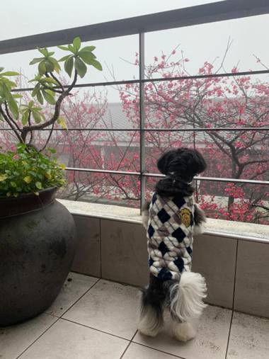 Sanyi Gentle Breeze Hotel