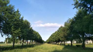 Cat Sky Country Homestay