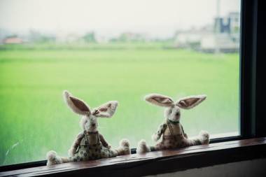 Cat Sky Country Homestay