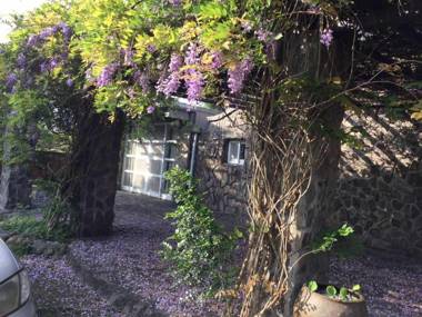 星湖森活 Star Lake Life in Nature