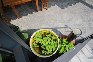 The Tiles Garden Yilan B&B