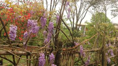 Wan Lake Coffee Villa