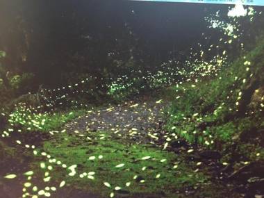 Pas-Taai Leisure Farm