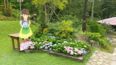 Hemerocallis Country House