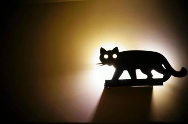 煙燻貓民宿 tesla充電需電洽