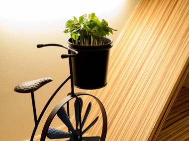 Beautiful Dream Tainan Homestay