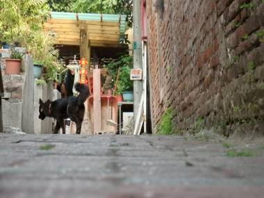 Tainan Guest House Hamuya