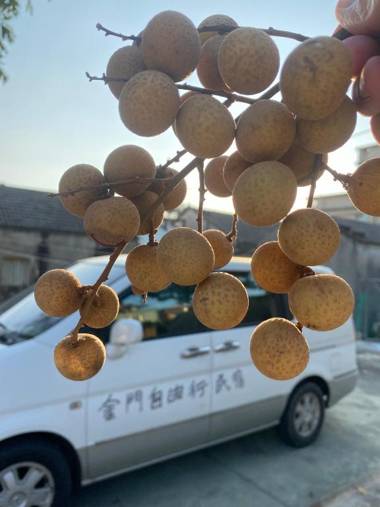 金門自由行民宿 Kinmentrip B&B