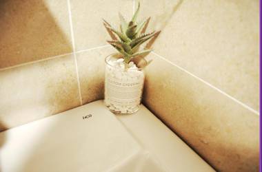 Blowing in the wind Homestay