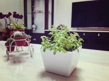 There are no results for