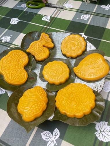 Otter's Home (Whole House)