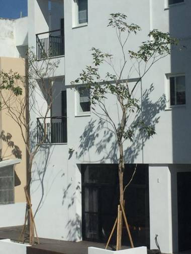 Tiin Tinn - Rivershore B&B