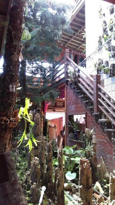 Sea Villa Homestay