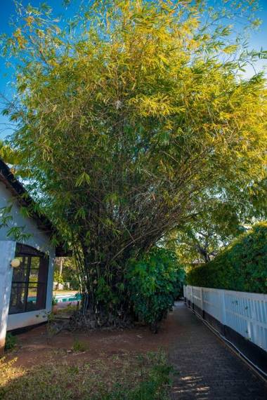 Baobab Village Pool apartment