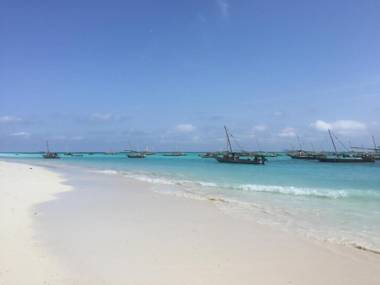 Habibis Bottle House