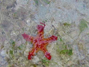 Kivulini Lodge and Restaurant