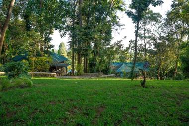 Malkia Trees Lodge