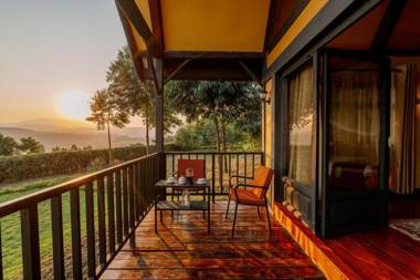 Shamba lodge cabins