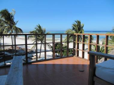 Albatross Ocean View