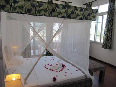 Albatross Ocean View