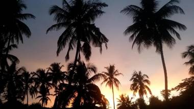 Michamvi Spirit Lodge