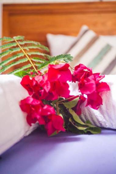 Dreamland Bungalows Michamvi Kae