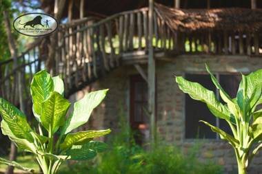 Baker Safari Company