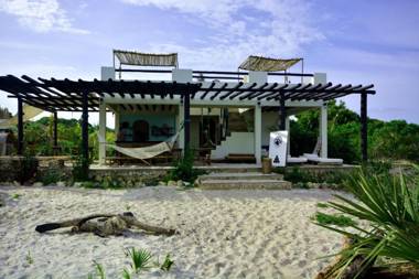 The Slow Leopard Kilwa