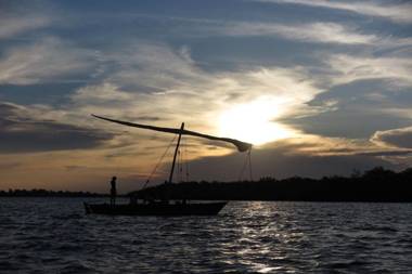 The Slow Leopard Kilwa