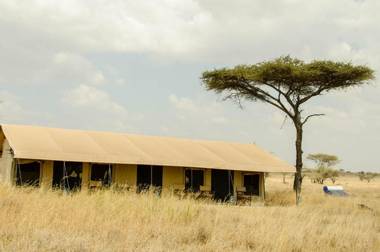 Gnu Ndutu Camp