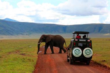 Ngorongoro Wild Camp