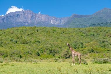 Hillside Retreat – Africa Amini Life