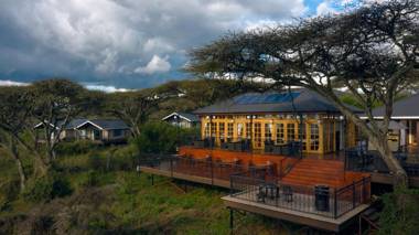 Lions Paw Ngorongoro