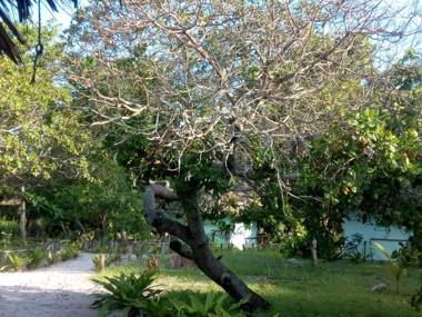 Mangrove Blue Waves Bungalows